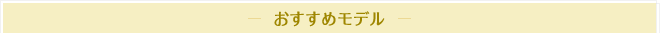 おすすめモデル