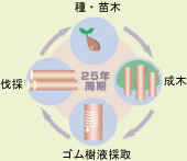 環境イメージ