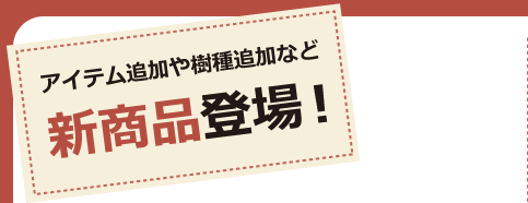 アイテム追加や樹種追加など新商品登場!