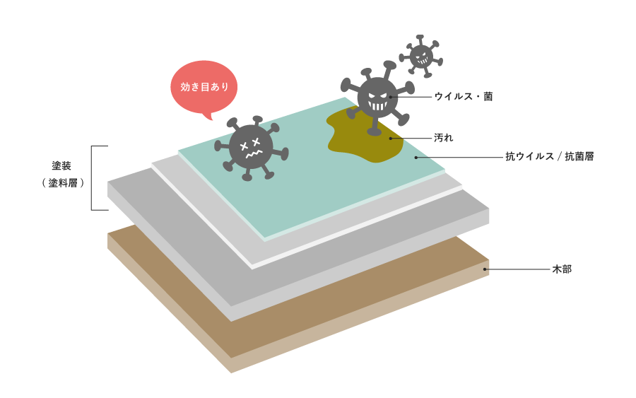 抗ウイルス塗装の構造