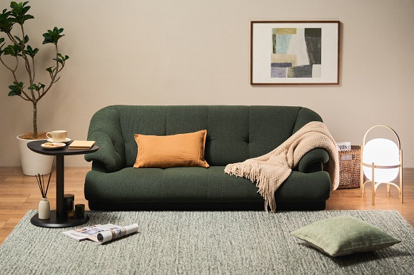 メジロ◇カリモク座椅子 CS6210H746_L1.jpg