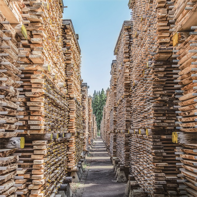 札幌ショールーム｜イベント・新着情報｜カリモク家具 karimoku