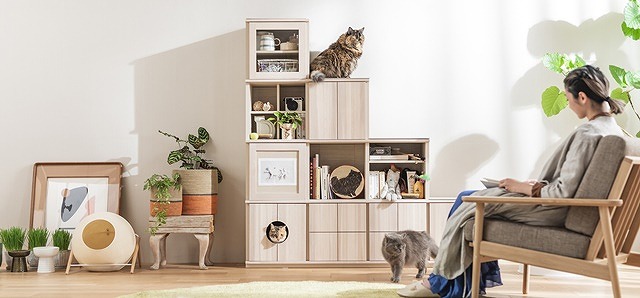 多摩ショールーム｜イベント・新着情報｜カリモク家具 karimoku