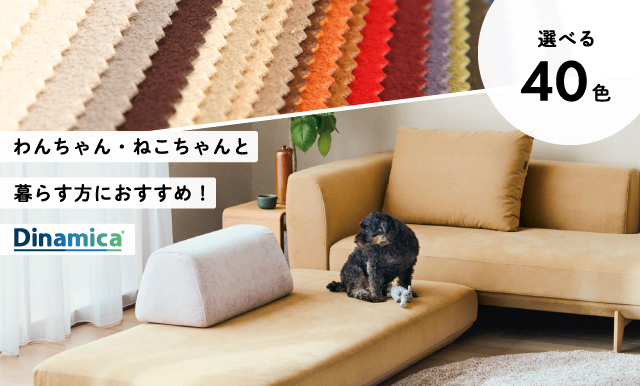 お台場ショールーム｜イベント・新着情報｜カリモク家具 karimoku