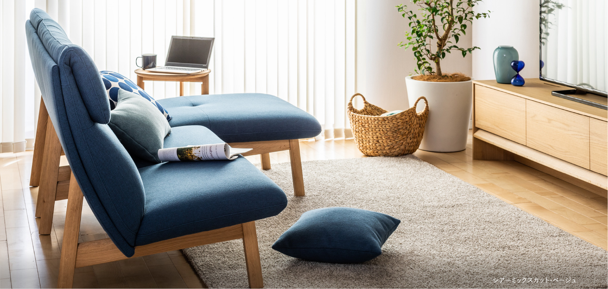 お台場ショールーム｜イベント・新着情報｜カリモク家具 karimoku