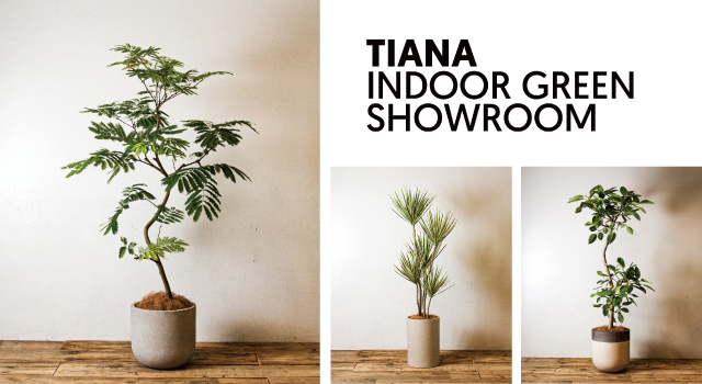 新横浜ショールーム｜イベント・新着情報｜カリモク家具 karimoku