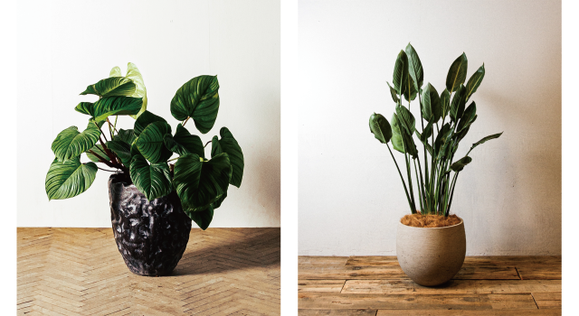 新横浜ショールーム｜イベント・新着情報｜カリモク家具 karimoku