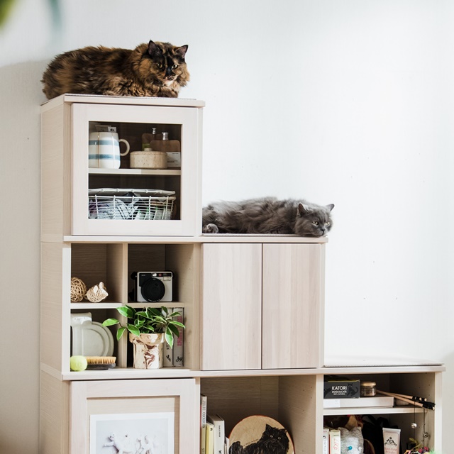 関西ショールーム｜イベント・新着情報｜カリモク家具 karimoku