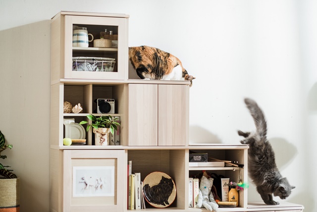 茨木アウトレット｜イベント・新着情報｜カリモク家具 karimoku