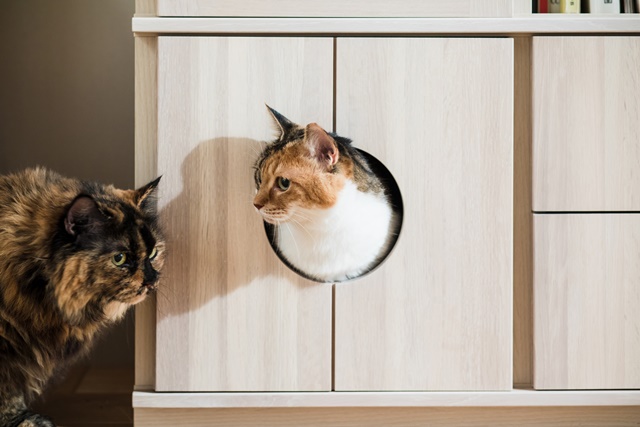 茨木アウトレット｜イベント・新着情報｜カリモク家具 karimoku