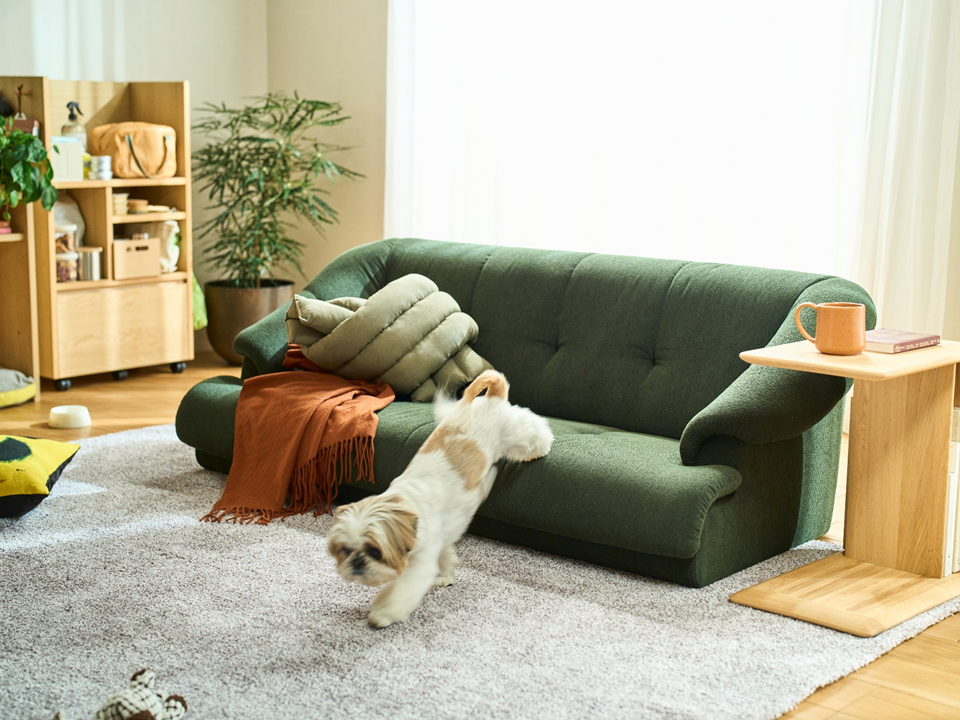 マナベインテリアハーツ 川西店｜イベント・新着情報｜カリモク家具