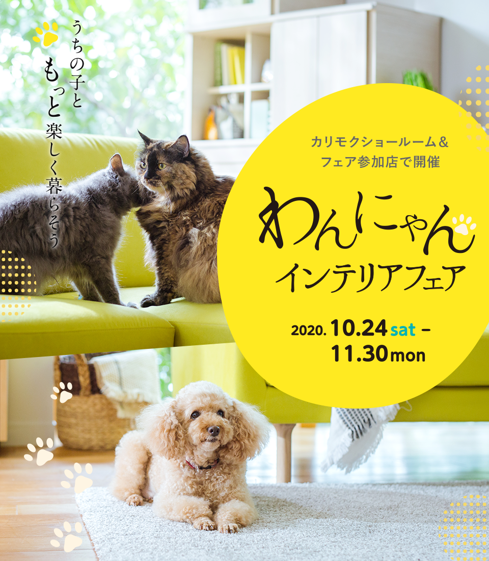 SAKODA 熊本店｜イベント・新着情報｜カリモク家具 karimoku