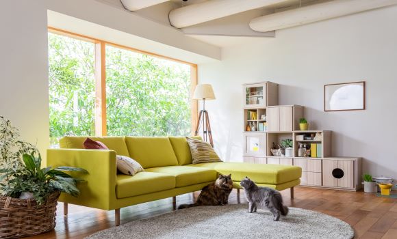 ルームズ大正堂 あざみ野店｜イベント・新着情報｜カリモク家具 karimoku