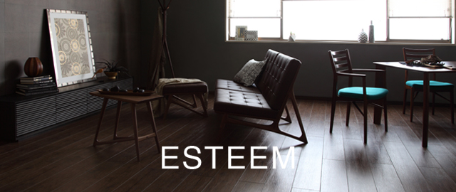 esteem