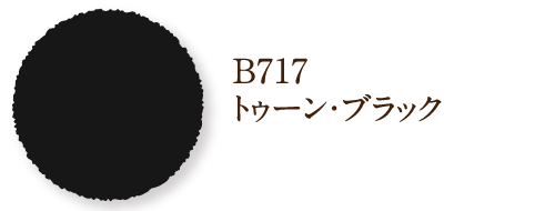 B717 トゥーン・ブラック