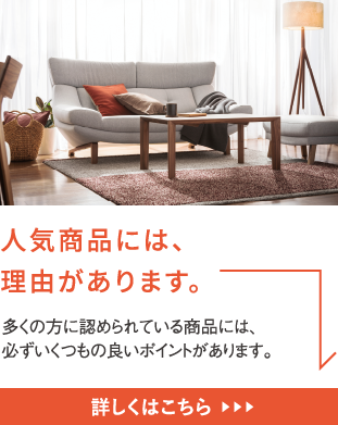 人気商品には、理由があります。多くの方に認められている商品には、必ずいくつもの良いポイントがあります。