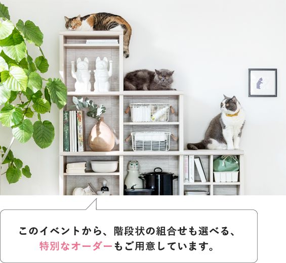ユニット型ボード セルタス
