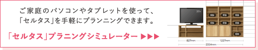 「セルタス」プラニングシミュレーター