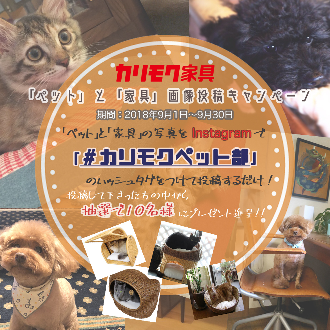 「ペット」と「家具」画像投稿キャンペーン