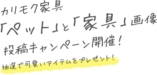 カリモク家具「ペット」と「家具」画像投稿キャンペーン開催!抽選で可愛いアイテムをプレゼント!
