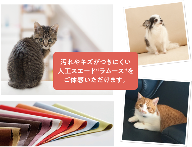 写真1