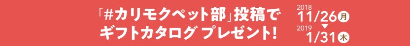ギフトカタログプレゼント