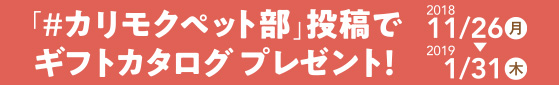 ギフトカタログプレゼント