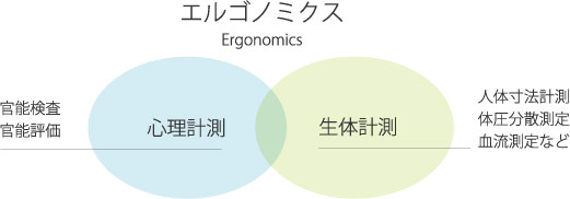 エルゴノミクス