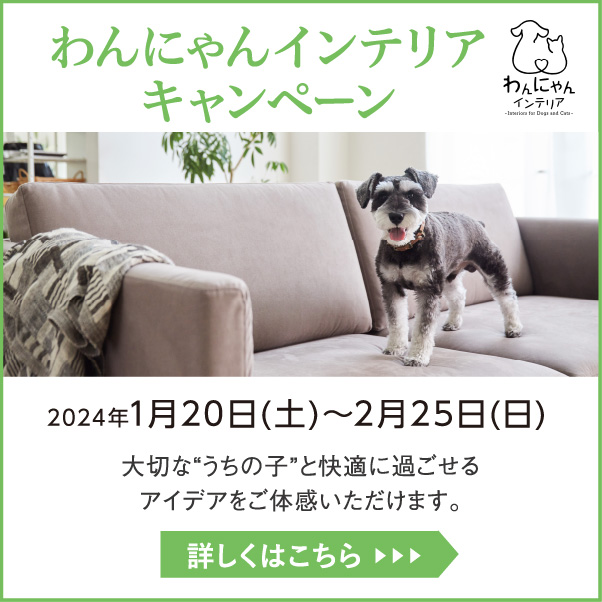 わんにゃんインテリアキャンペーン