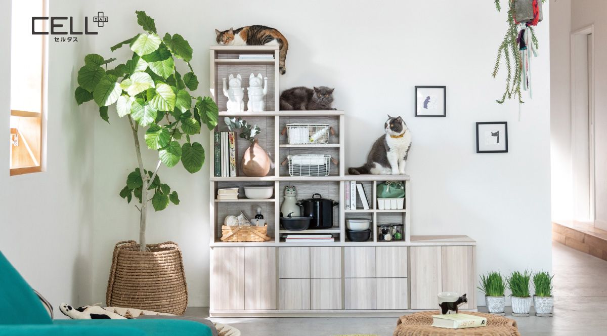 CELL TAS セルタス