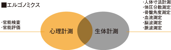 エルゴノミクス