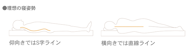 理想の寝姿勢,仰向きではS字ライン,横向きでは直線ライン