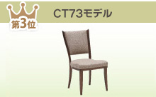 CT73モデル