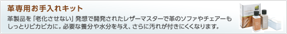 革専用お手入れキット