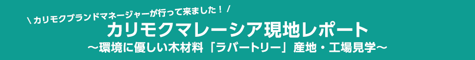 マレーシア現地レポート