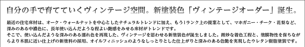 新塗装色「ヴィンテージオーダー」誕生