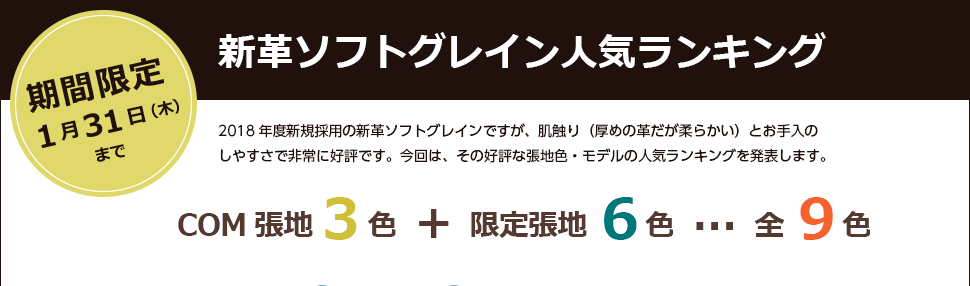 新革ソフトグレイン人気ランキング