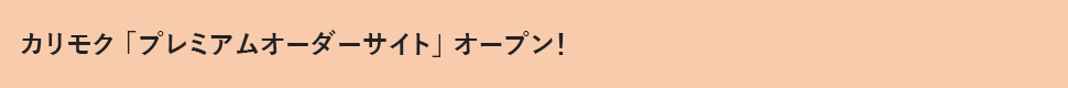 カリモク「プレミアムオーダーサイト」オープン!