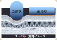 フュージョン 支持イメージ