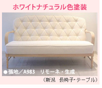 ホワイトナチュラル色塗装