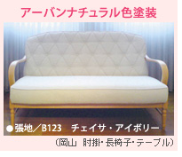 アーバンチュラル色塗装
