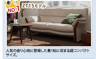 No.1 ZT15モデル