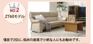 No.2 ZT60モデル