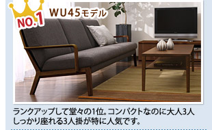 No.1 WU45モデル