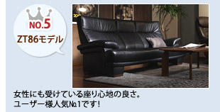 No.5 ZT86モデル