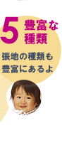 5豊富な種類 張地の種類も豊富にあるよ