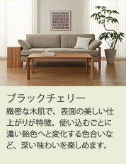 緻密な木肌で、表面の美しい仕上がりが特徴。使い込むごとに濃い飴色へと変化する色合いなど、深い味わいを楽しめます。
