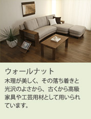 木理が美しく、その落ち着きと光沢のよさから、古くから高級家具や工芸用材として用いられています。