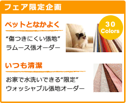 フェア限定企画