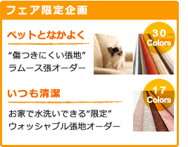 フェア限定企画